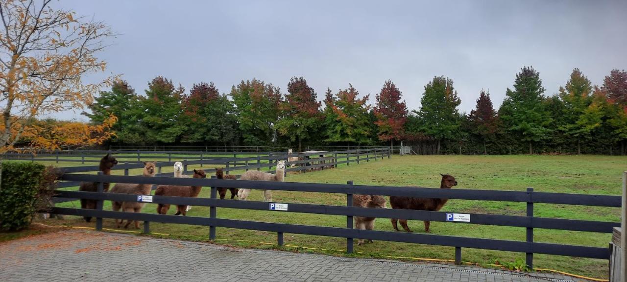 B&B De Raamberg Zundert ภายนอก รูปภาพ