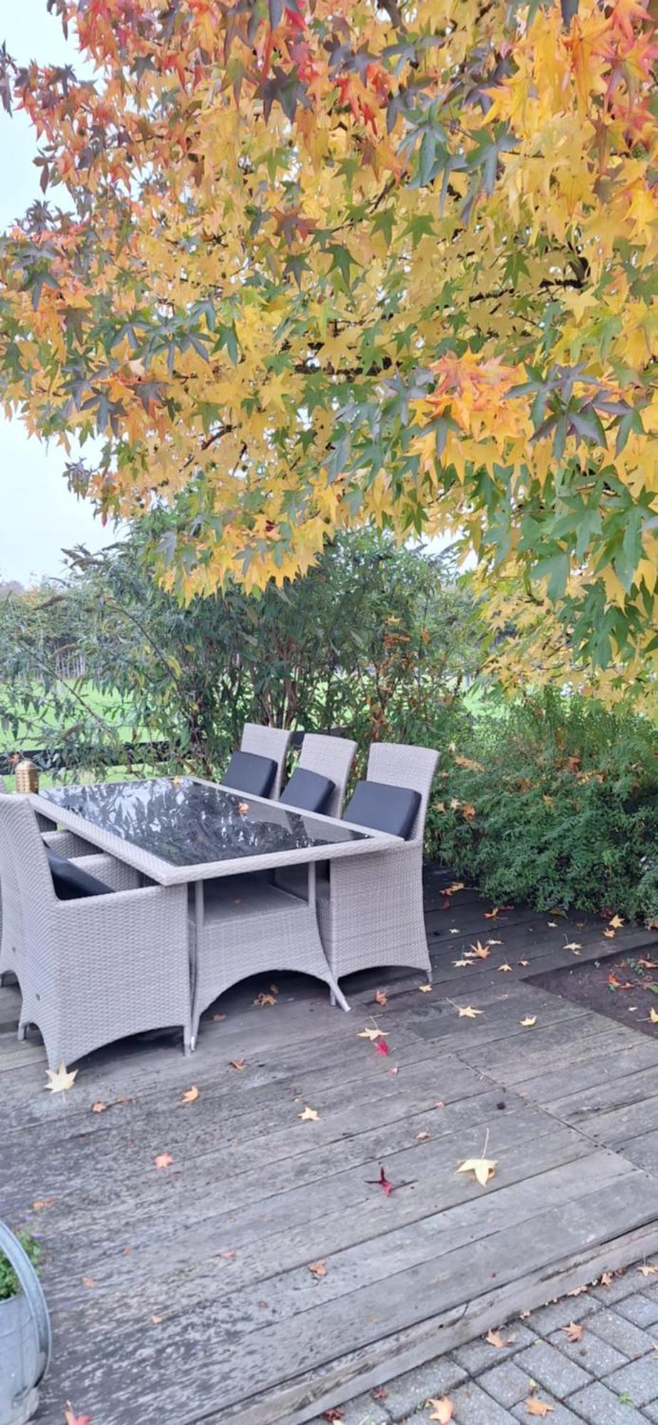 B&B De Raamberg Zundert ภายนอก รูปภาพ