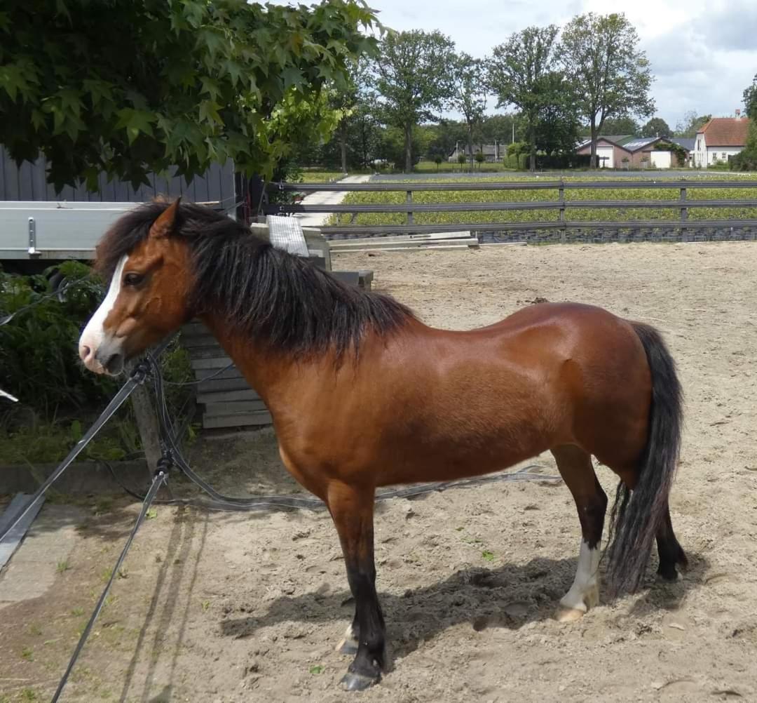 B&B De Raamberg Zundert ภายนอก รูปภาพ