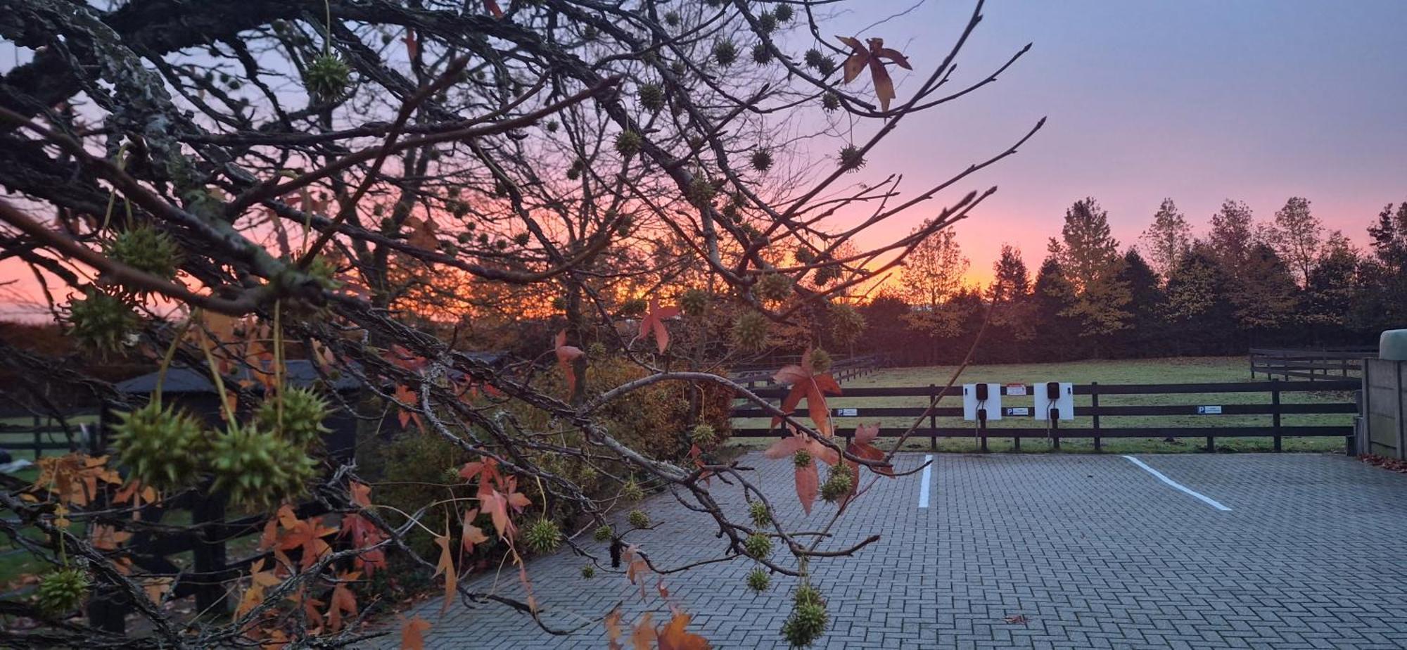 B&B De Raamberg Zundert ภายนอก รูปภาพ