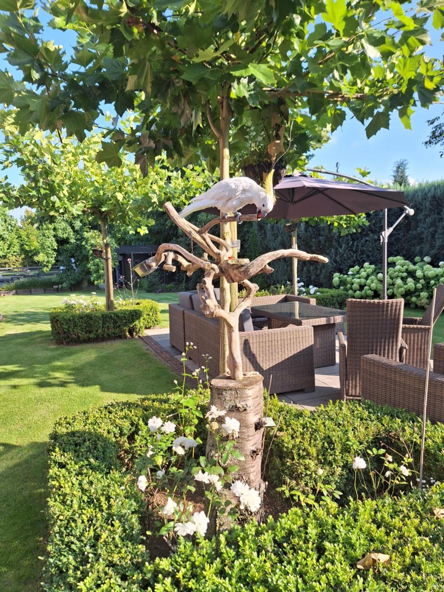 B&B De Raamberg Zundert ภายนอก รูปภาพ