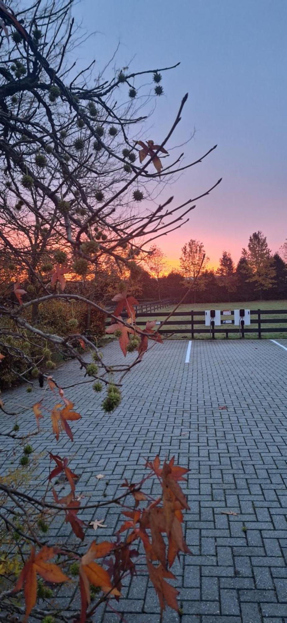 B&B De Raamberg Zundert ภายนอก รูปภาพ